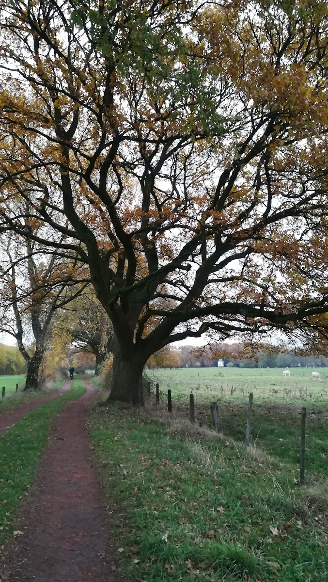 W.F. van Heek 't Kerkenveld