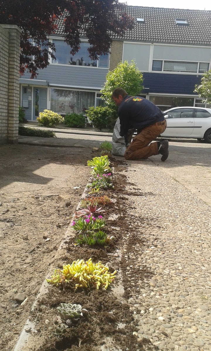 Van Lienden Groenprojecten