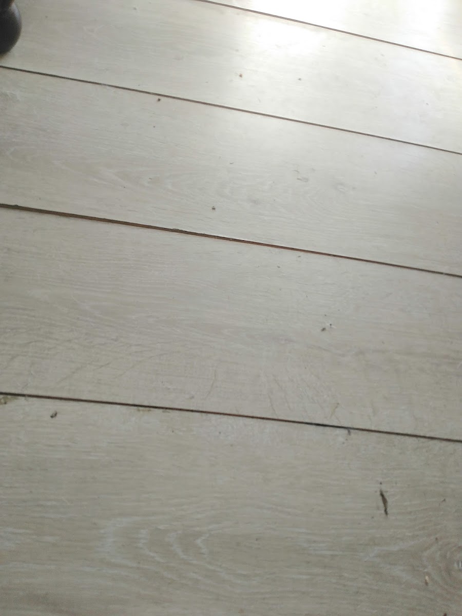 Huizer Bouw B.V.