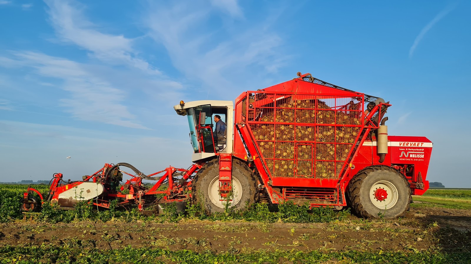 Nelisse Agro, Grond en Infra