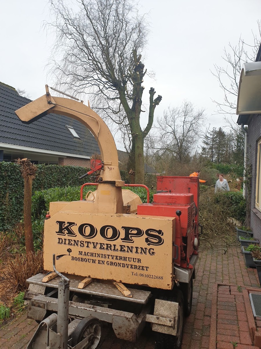 Koops boomkap & grondverzet